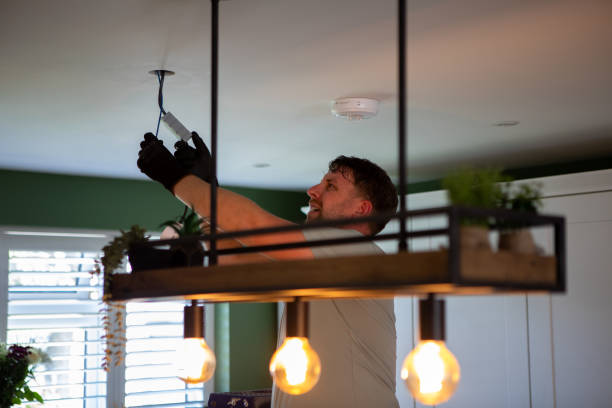 Best Electrical System Inspection  in Clayco, MO